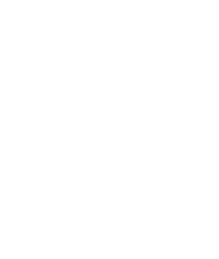 Adrian Ruthnik Logo